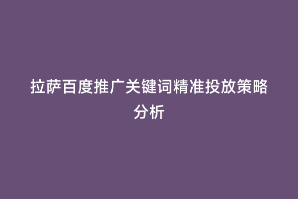 拉萨百度推广关键词精准投放策略分析