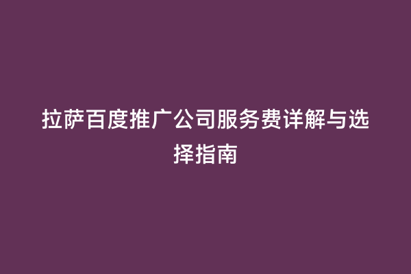 拉萨百度推广公司服务费详解与选择指南