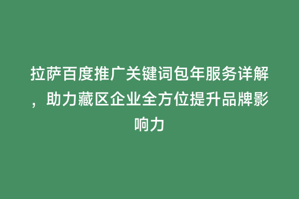 拉萨百度推广关键词包年服务详解，助力藏区企业全方位提升品牌影响力