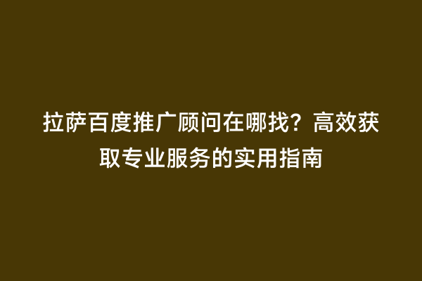 拉萨百度推广顾问在哪找？高效获取专业服务的实用指南