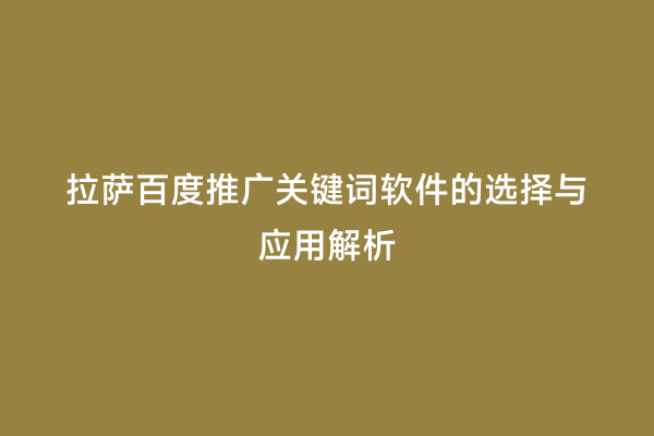 拉萨百度推广关键词软件的选择与应用解析