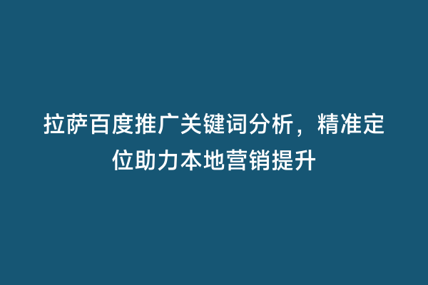 拉萨百度推广关键词分析，精准定位助力本地营销提升