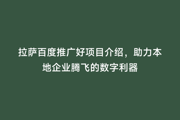 拉萨百度推广好项目介绍，助力本地企业腾飞的数字利器