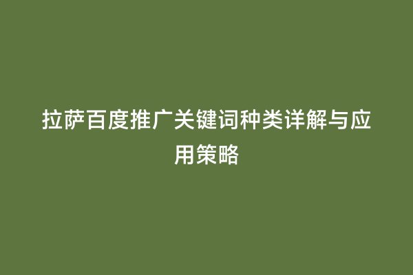 拉萨百度推广关键词种类详解与应用策略